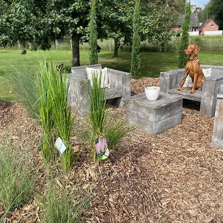 Im Schönen #5 Apartment *