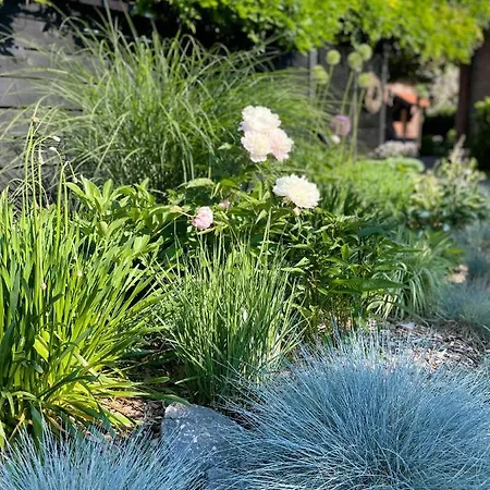 Apartment Im Schönen #5 Munster (North Rhine-Westphalia)