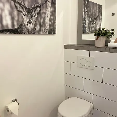 Apartment Im Schönen #5 Munster (North Rhine-Westphalia)