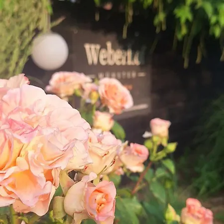 Weberhof - 5 Appartamento