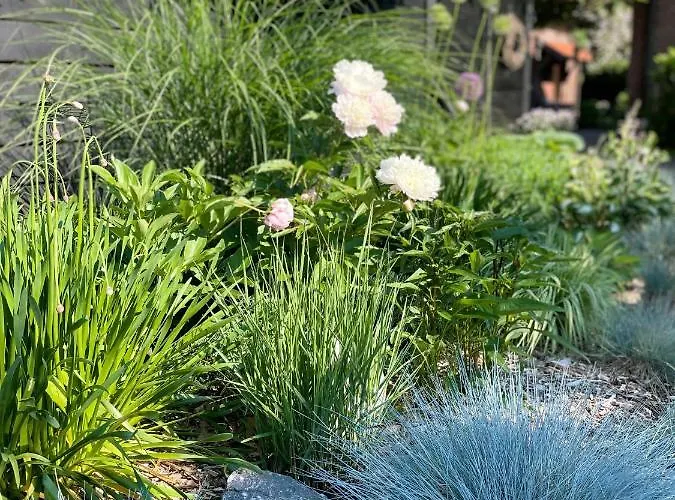 Lejlighed Weberhof - 5 Münster